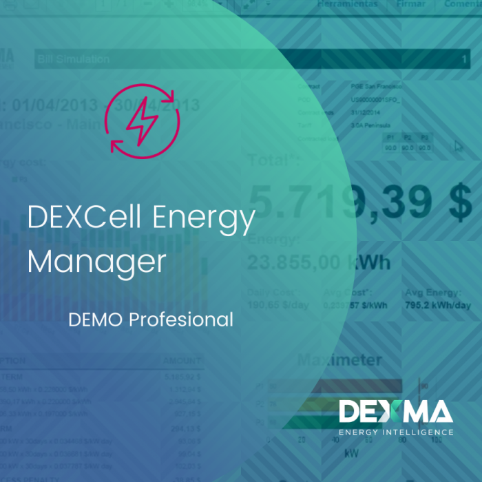 DEXCell Energy Manager DEMO Profesional