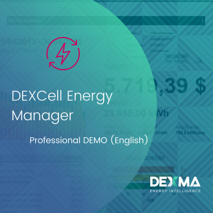 DEXCell Energy Manager Professional DEMO (English)