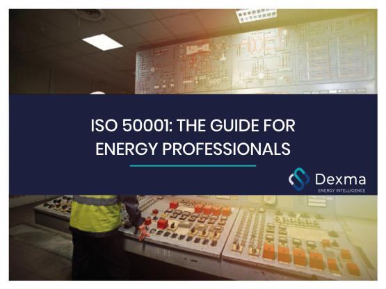 ISO 50001 The Guide For The Energy Professional