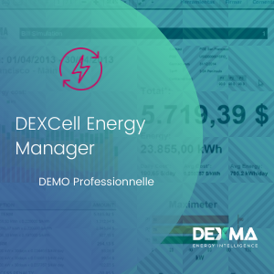 DEXCell Energy Manager Professional DEMO