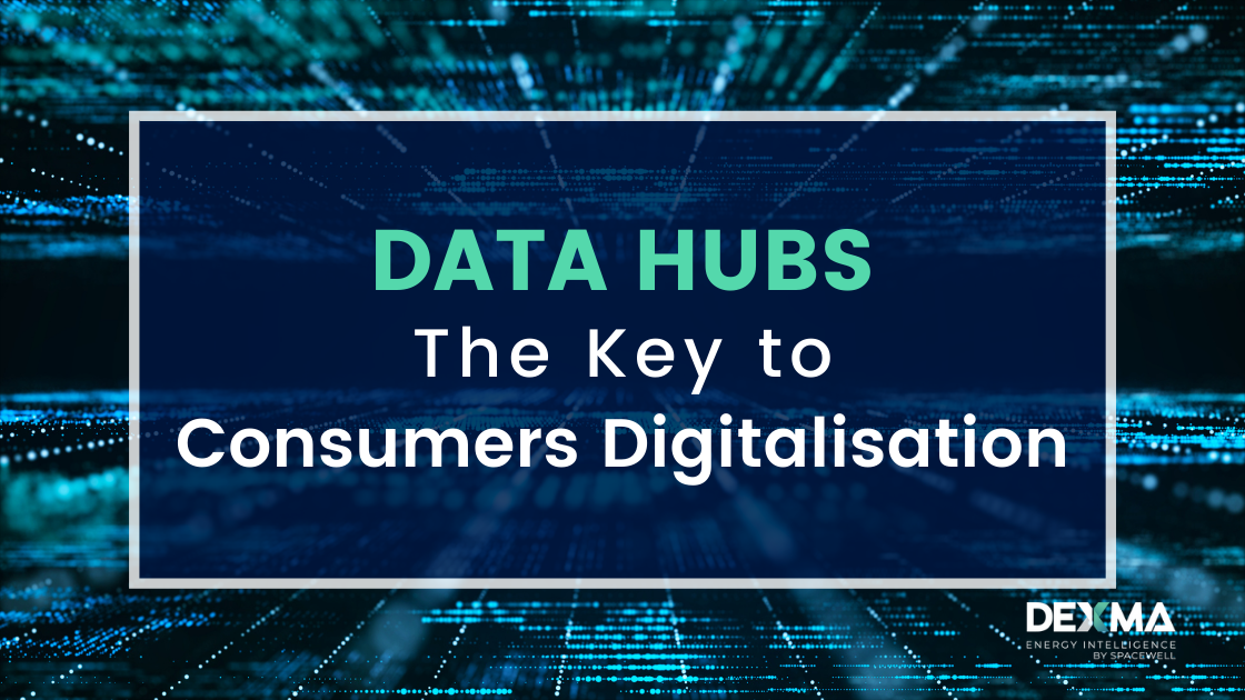Role of the Data Hubs for Digital Consumers