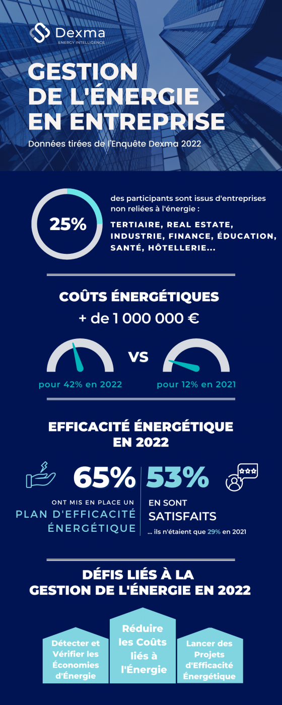 Gestion de l’Énergie en Entreprise : Rapport de l’enquête 2022 [INFOGRAPHIE]