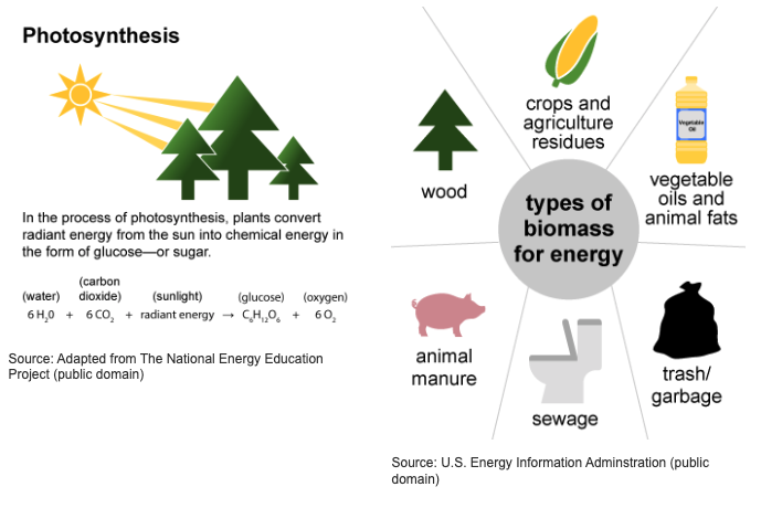 Biomass Explained Visual
