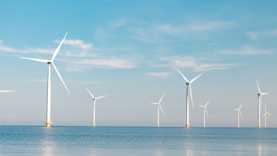 Éolien en Mer : Acteur Clé de la Transition Énergétique