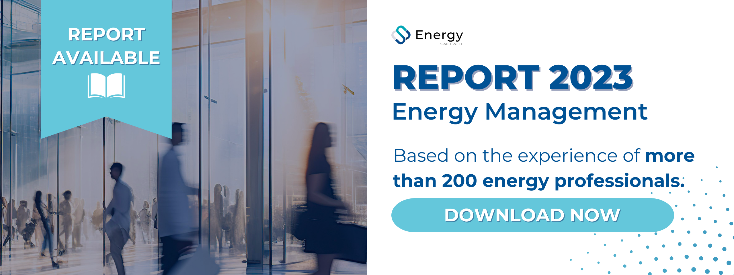 Energy Management Report 2024